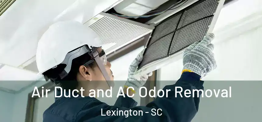  Air Duct and AC Odor Removal Lexington - SC