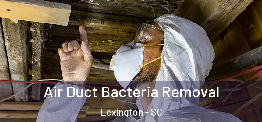  Air Duct Bacteria Removal Lexington - SC