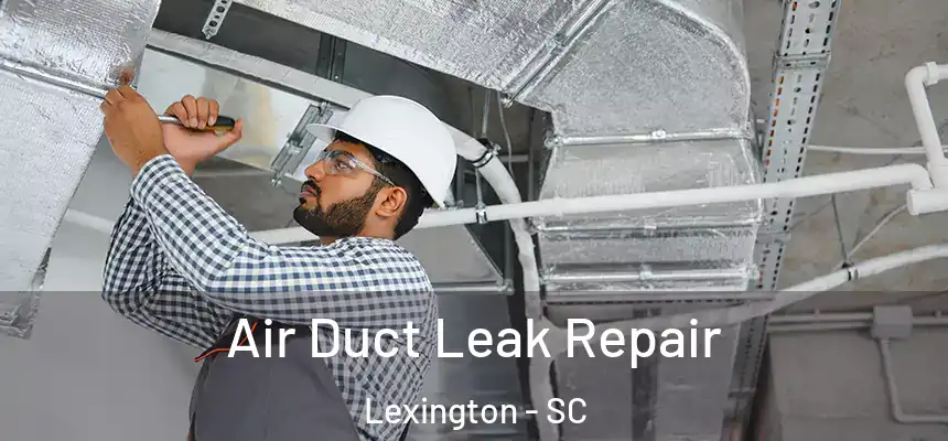  Air Duct Leak Repair Lexington - SC