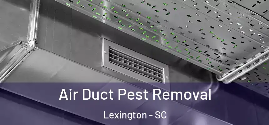  Air Duct Pest Removal Lexington - SC