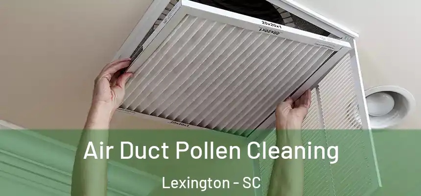 Air Duct Pollen Cleaning Lexington - SC