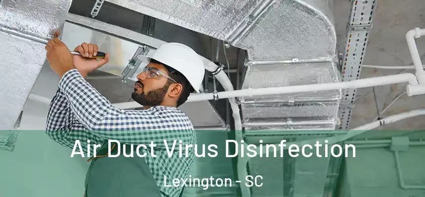  Air Duct Virus Disinfection Lexington - SC