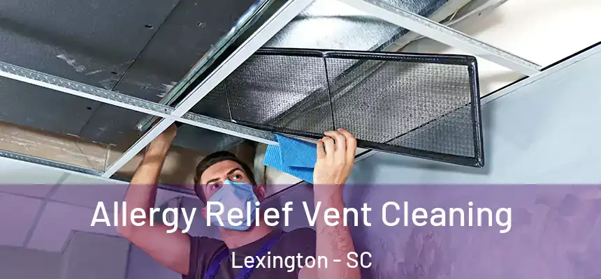 Allergy Relief Vent Cleaning Lexington - SC
