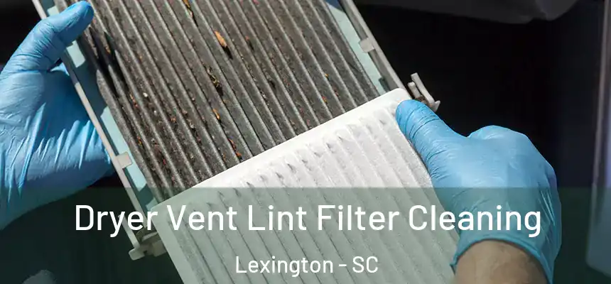  Dryer Vent Lint Filter Cleaning Lexington - SC