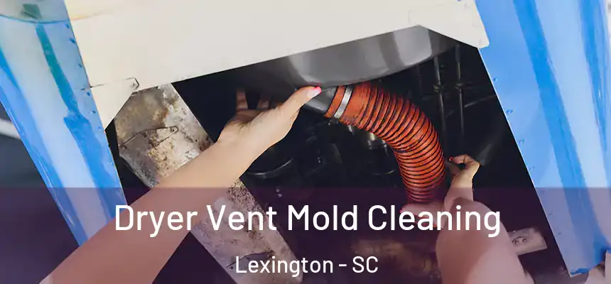  Dryer Vent Mold Cleaning Lexington - SC