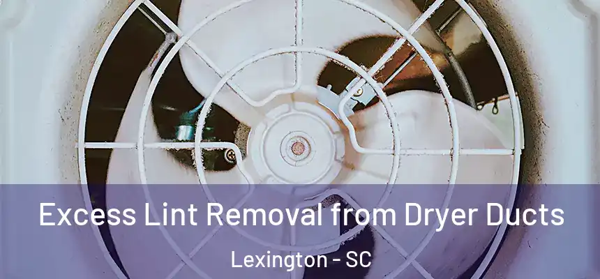Excess Lint Removal from Dryer Ducts Lexington - SC