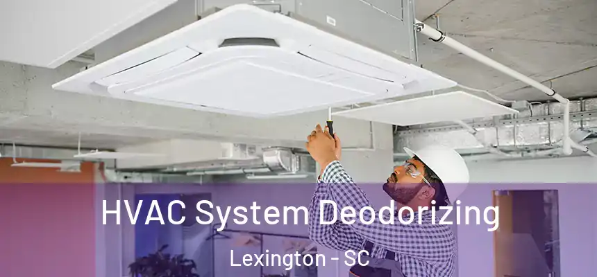 HVAC System Deodorizing Lexington - SC