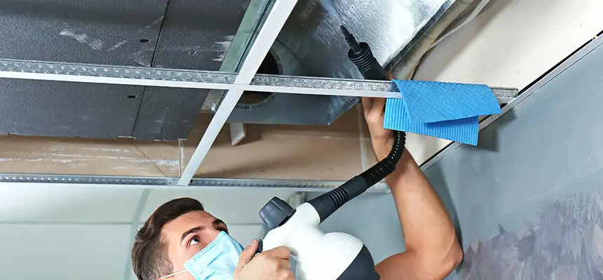 Our Air Duct Rodent Removal Services in Lexington, SC