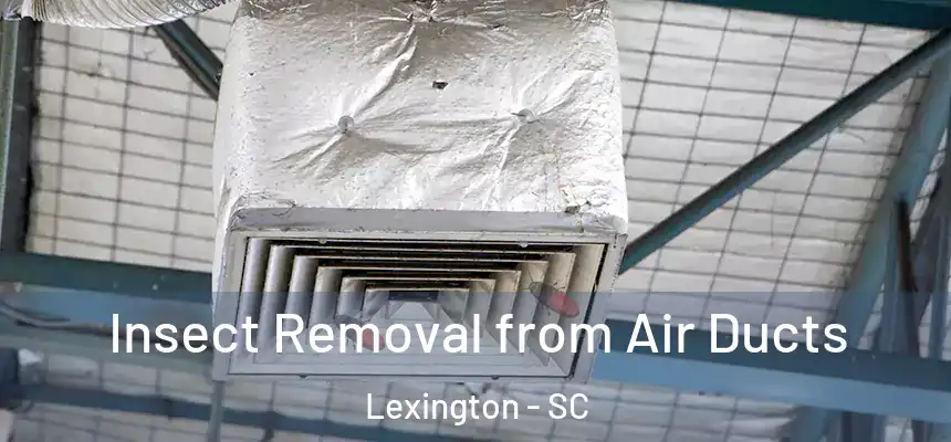  Insect Removal from Air Ducts Lexington - SC
