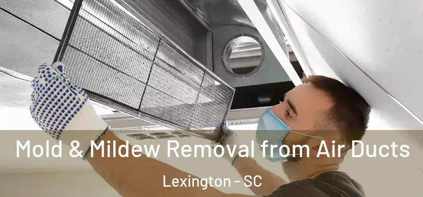  Mold & Mildew Removal from Air Ducts Lexington - SC