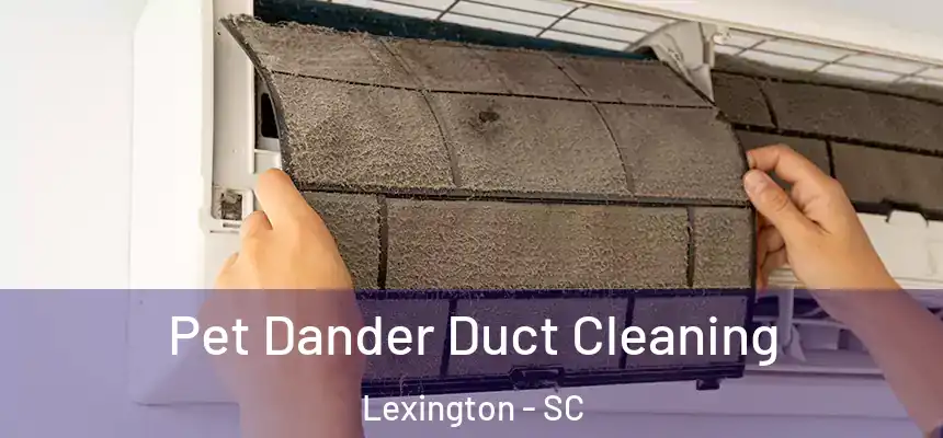 Pet Dander Duct Cleaning Lexington - SC