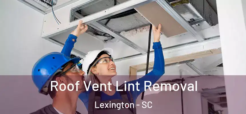 Roof Vent Lint Removal Lexington - SC