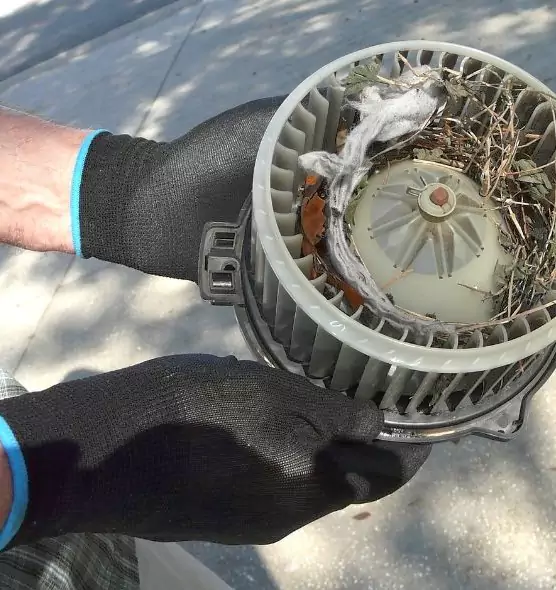 About Air Duct Mice Removal in Lexington, SC