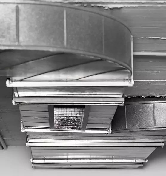 Professional Air Duct Pet Hair Removal in Lexington, SC