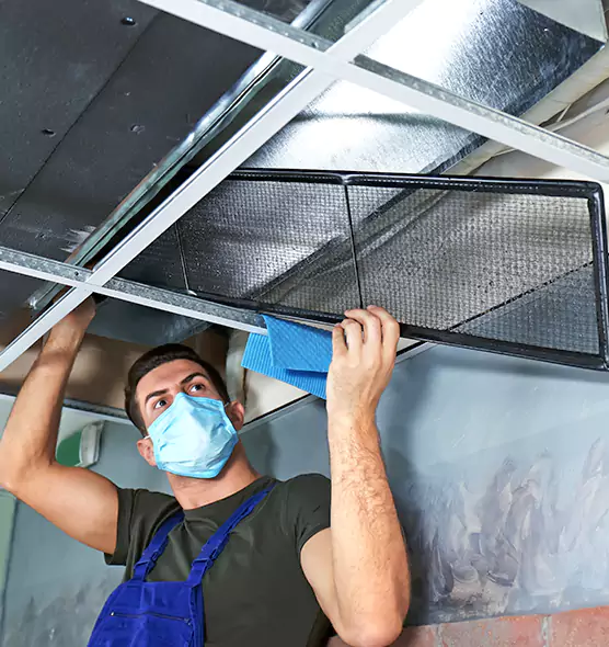 Professional Air Duct Pollen Cleaning in Lexington, SC