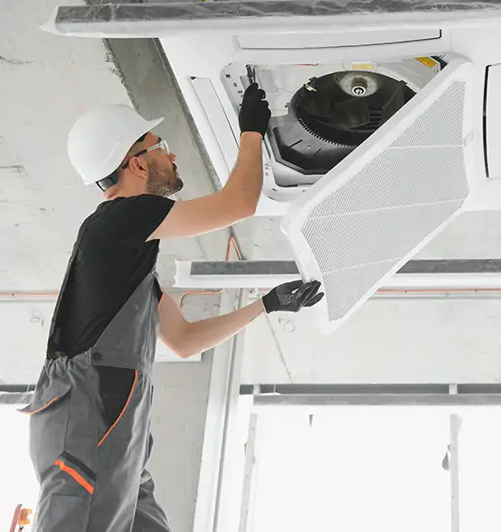 About Air Duct Rodent Removal in Lexington, SC