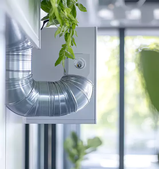 Professional Eco-Safe Dryer Vent Cleaning in Lexington, SC