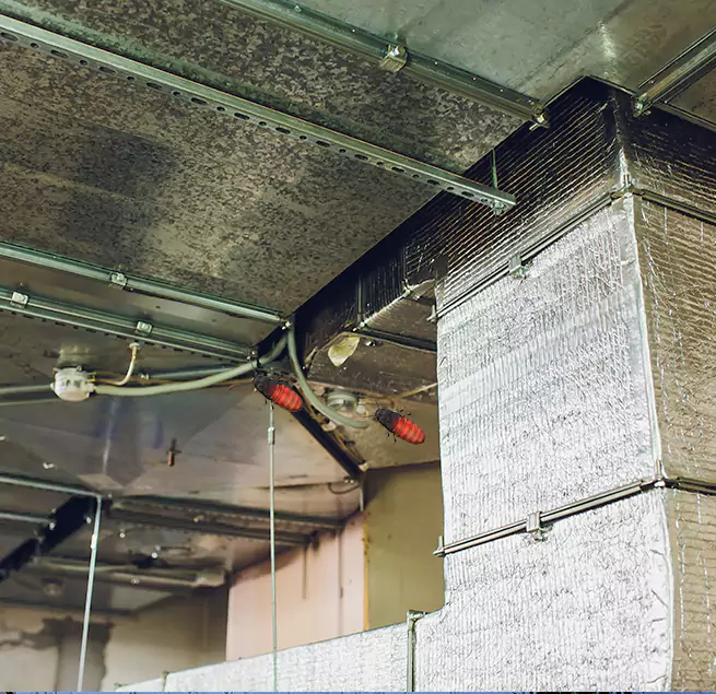 Why Homeowners & Businesses Trust Us in Lexington, SC?