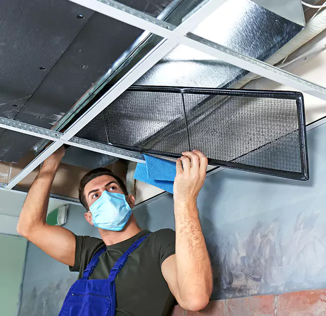 Why Homeowners Businesses Trust Us in Lexington, SC?