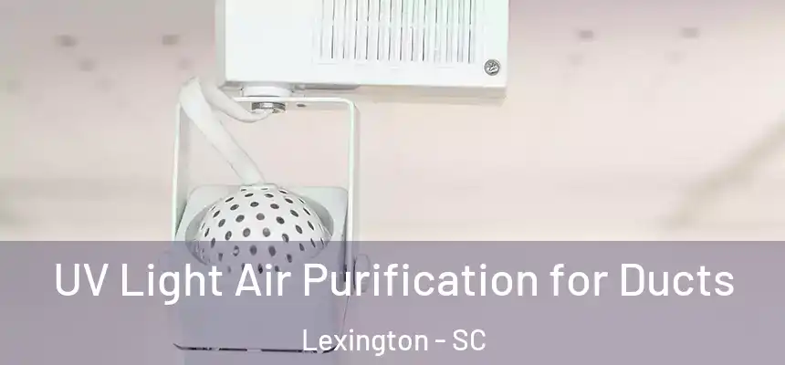  UV Light Air Purification for Ducts Lexington - SC